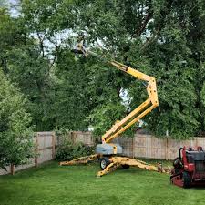 Best Tree Trimming and Pruning  in Salton City, CA